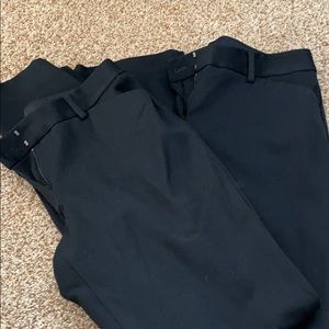 Size 6 barely boot editor pant